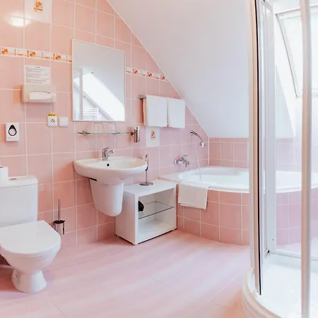 Bene بيت ضيافة Chotěboř